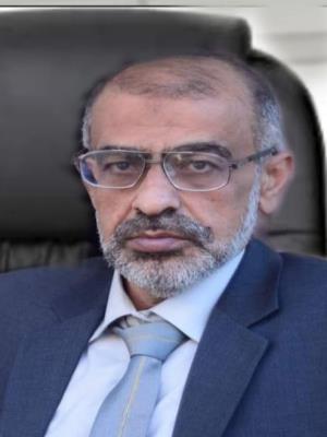 عادل محمد خضر عبد الهادي