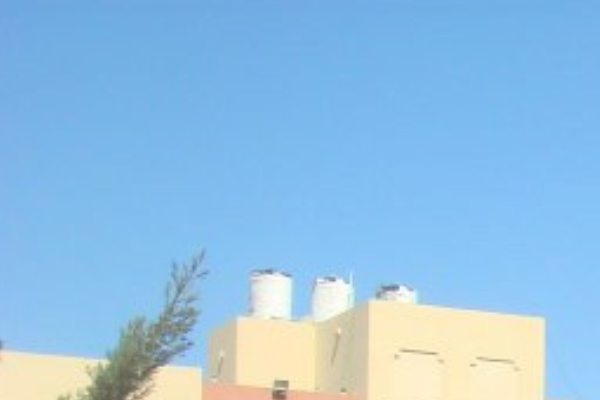 عن الكلية